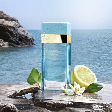 dolce & gabbana light blue ingredients|d&g website.